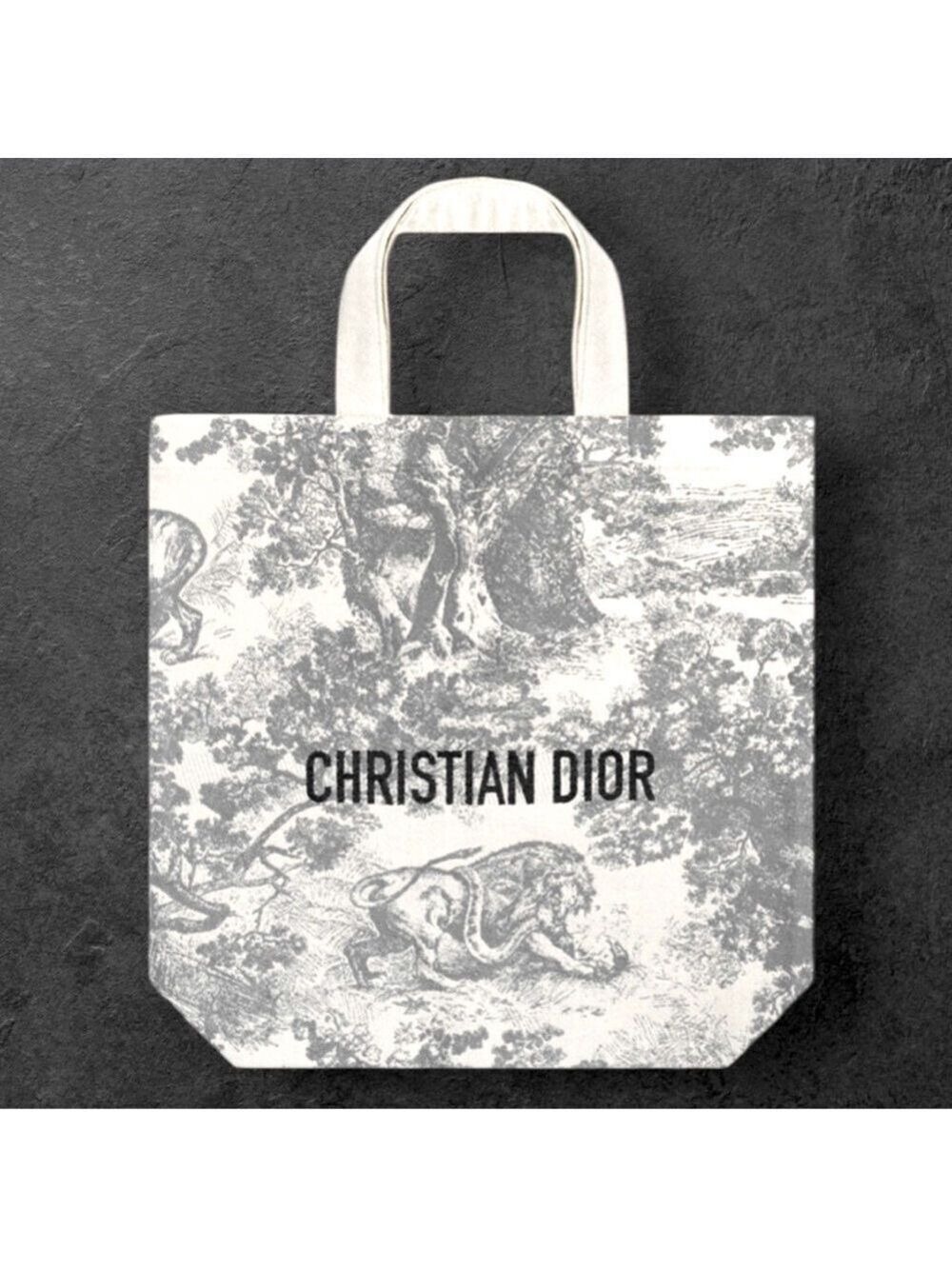 Dior Grey Tote Shopping Bag Medium Embroidered Logo New Authentic